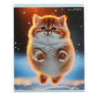 Тетрадь 48 листов в клетку "Зимние котики", обложка мелованный картон, матовая ламинация, выборочный УФ-лак, блок 60г/м2, МИКС - фото 23340221