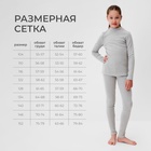 Термобелье для девочки (лонгслив, легинсы) цвет серый меланж, рост 146 9673540 - фото 14263149