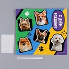 Топпер картон на подложке с проволокой «Собачки» - Фото 3