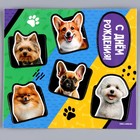 Топпер картон на подложке с проволокой «Собачки» - Фото 4