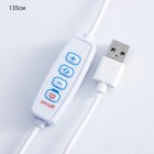 Фигурка светящаяся RISALUX «Осень», LED-ночник, 3 Вт, белый, 3.5×15.5×21.5 см 10058729