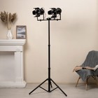 Торшер "Ретро" 2хЕ27 40Вт черный 60х60х175 см - фото 23362292