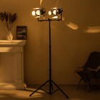 Торшер "Ретро" 2хЕ27 40Вт черный 60х60х175 см - фото 23362294