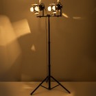 Торшер "Ретро" 2хЕ27 40Вт черный 60х60х175 см - фото 23362281