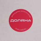 Заварочный чайник Доляна «Диана. Грация», 400 мл, стеклянное сито, стекло - Фото 5