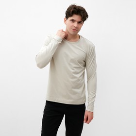 Лонгслив мужской MIST Men's casual размер 52, серо-бежевый 10071829