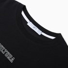 Футболка мужская MIST Cultura, размер 56, черный 10071878