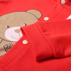 Комплект для мальчика, цвет красный, рост 80 см 10099865