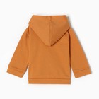 Комплект для мальчика, цвет горчица, рост 80 см 10099868