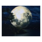 Картина световая "Полная луна" 40*50 см - фото 20069148