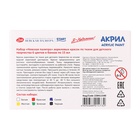 Краска по ткани, набор 6 цветов х 15 мл, ЗХК "Я - Художник!", акриловая на водной основе, (228411540) - Фото 9