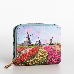 Кошелёк на молнии, голубой, разноцветный