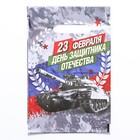 Пакет "День Защитника Отечества", полиэтиленовый с вырубной ручкой, 20х30 см, 30 мкм - фото 11715975
