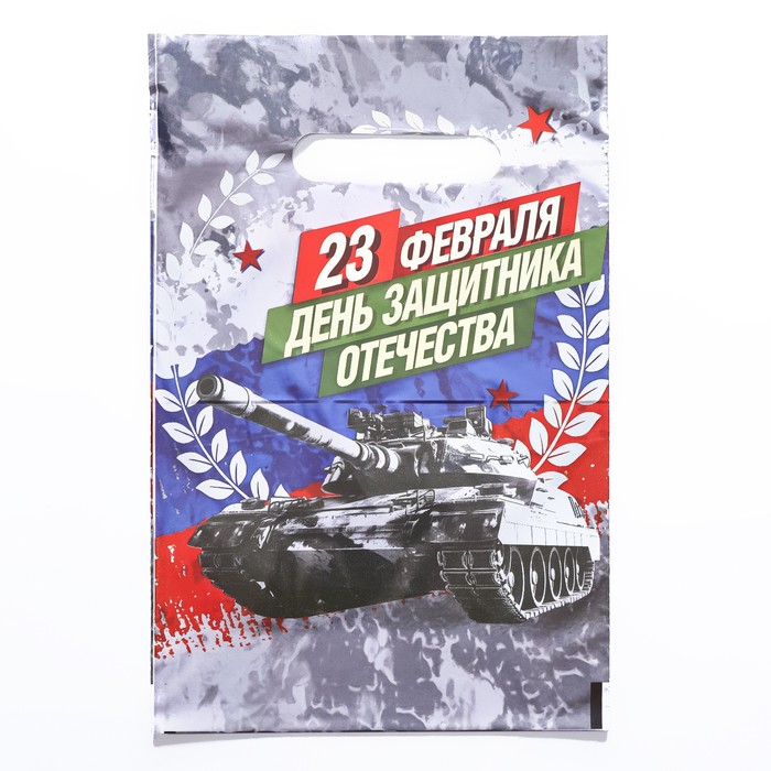 Пакет "День Защитника Отечества", полиэтиленовый с вырубной ручкой, 20х30 см, 30 мкм - Фото 1