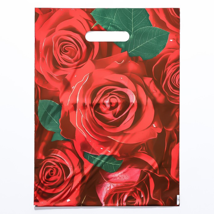 Пакет "Алые розы", полиэтиленовый с вырубной ручкой, 30х40 см, 50 мкм - Фото 1