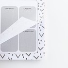 Планер с отрывными листами, 50 л. 17×9 см «Енот» 10003374