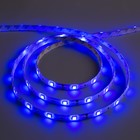 Светодиодная лента 12В, SMD5050, 5 м, IP65, 30 LED, 7.2 Вт/м, 14-16 Лм/1 LED, DC, СИНИЙ - Фото 1