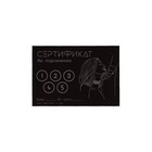 Набор сертификатов 18+, 10 шт., 11.5×8 см - Фото 10