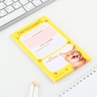 Планер с отрывными листами, 50 л «Кот» - Фото 2