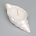 Свеча "Ракушка" в подсвечнике из гипса малая, 11,5х5,5х3,5 см, белый перламутр - Фото 4