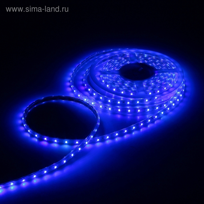 Светодиодная лента 220В, SMD3528, 5 м, IP65, 60 LED, 3.3 Вт/м, 6-7 Лм/1 LED, AC, СИНИЙ - Фото 1