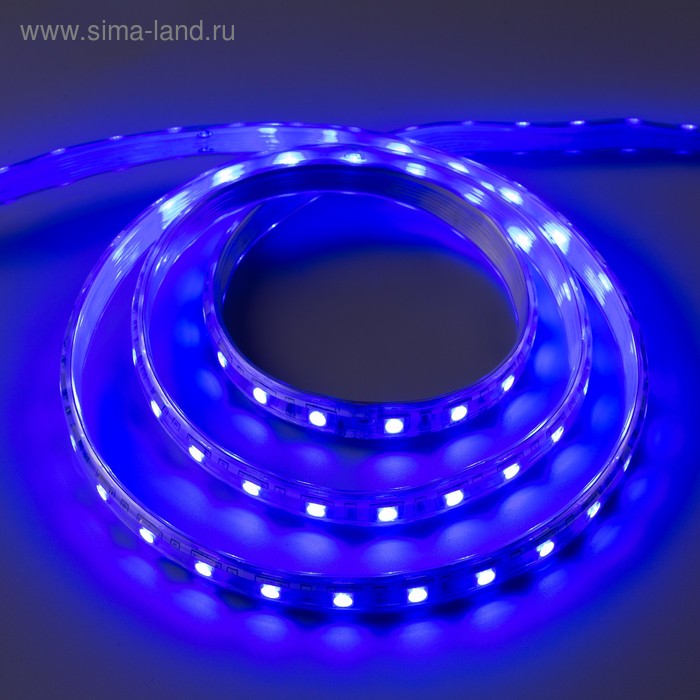 Светодиодная лента 220В, SMD5050, 5 м, IP65, 60 LED, 11 Вт/м, 16-18 Лм/1 LED, AC, СИНИЙ - Фото 1