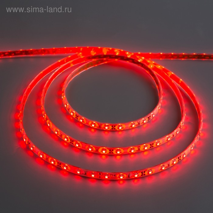 Светодиодная лента 12В, SMD3528, 5 м, IP68, 60 LED, 4.8 Вт/м, 6-7 Лм/1 LED, DC, КРАСНЫЙ - Фото 1