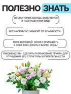 Грунт цветочный «Рецепты Дедушки Никиты», 40 л - Фото 5