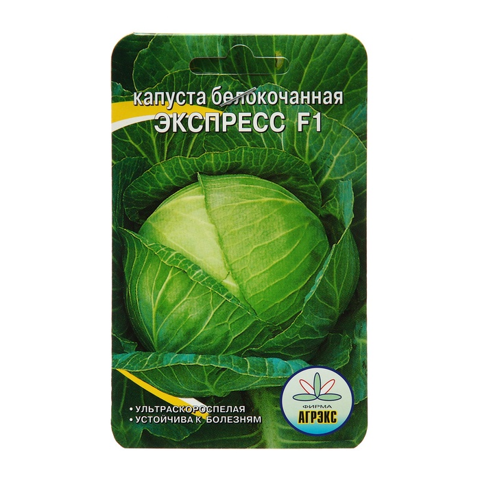Семена Капуста белокочанная «Экспресс», F1, 0.2 г, «Агрэкс» - Фото 1