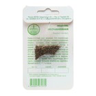 Семена Морковь«Несравненная», 1 г, «Агрэкс» - Фото 2