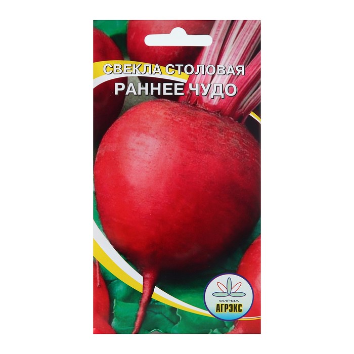 Семена Свекла "Раннее чудо", 2 г - Фото 1