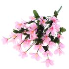 букет примула 45 см розовы - Фото 1