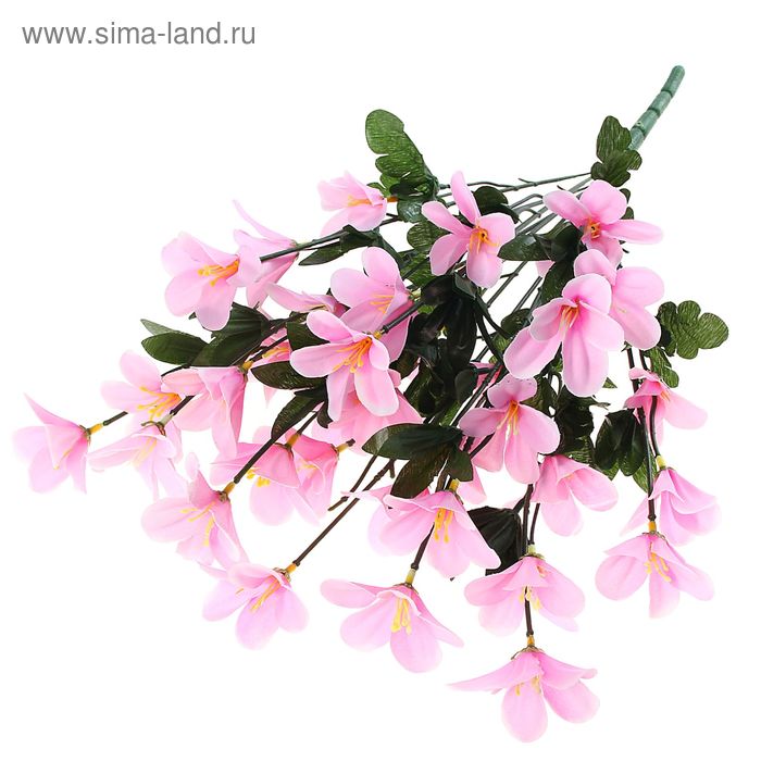 букет примула 45 см розовы - Фото 1