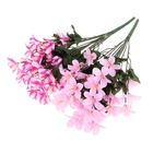 букет примула 45 см розовы - Фото 3