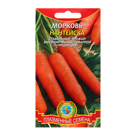 Морковь Нантейска