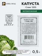 Семена Капуста белокочанная «Слава 1305», 0.5 г, «Плазмас» - Фото 1