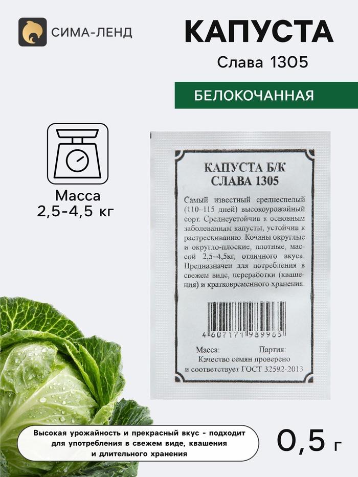Семена Капуста белокочанная «Слава 1305», 0.5 г, «Плазмас» - Фото 1