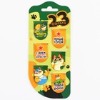 Магнитные закладки для книг, 6 шт. на подложке «23 февраля: Юный герой» - Фото 6