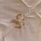 Одеяло АДЕЛЬ Верблюд всесезон. 105х140см, цвет МИКС, 300г/м, полиэстер - Фото 2