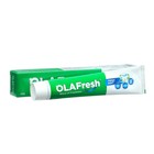 Зубная паста OLAFresh Fresh Mint Toothpaste, 100 г - фото 320760049