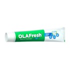 Зубная паста OLAFresh Fresh Mint Toothpaste, 100 г - фото 8102389