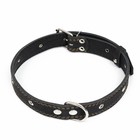 Ошейник кожаный двухслойный безразмерный, 69 х 3,5 см, ОШ 45-60 см, чёрный - фото 24320745