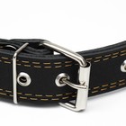 Ошейник кожаный двухслойный безразмерный, 69 х 3,5 см, ОШ 45-60 см, чёрный - фото 24320746