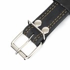 Ошейник кожаный двухслойный безразмерный, 69 х 3,5 см, ОШ 45-60 см, чёрный - фото 24320749