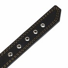 Ошейник кожаный двухслойный безразмерный, 69 х 3,5 см, ОШ 45-60 см, чёрный - фото 24320750