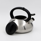 УЦЕНКА Чайник со свистком из нержавеющей стали Доляна «Блеск», 2,8 л, цвет хромированный - Фото 2