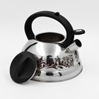 УЦЕНКА Чайник со свистком из нержавеющей стали Доляна «Расцвет», 2,8 л, фиксированная ручка, с индикатором нагрева - Фото 3