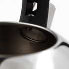 УЦЕНКА Чайник со свистком из нержавеющей стали Доляна «Расцвет», 2,8 л, фиксированная ручка, с индикатором нагрева - Фото 4