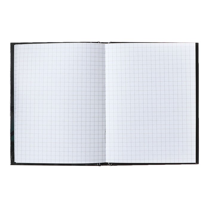 Блокнот а6 80л. Блокнот а5 134х206 мм 80 л твёрдый клетка brauberg kids, радужные котики 114417. Блокнот а5 80л. Блокнот а6 в клетку. Книга учета в клетку 96 листов твердая обложка горизонтальная купить.