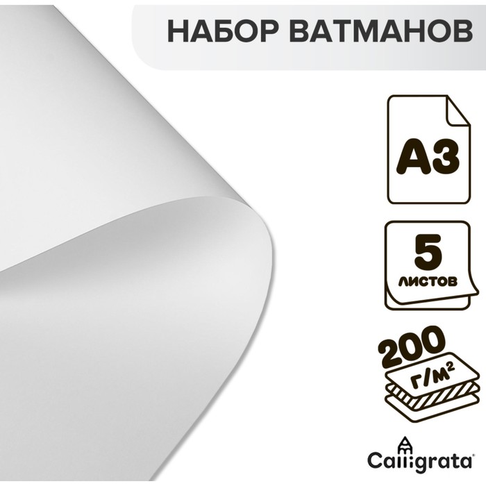 Набор ватманов чертёжных А3, 200 г/м², 5 листов - Фото 1